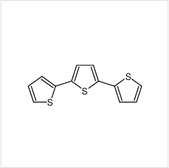 alpha-三聯噻吩 